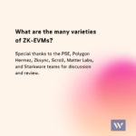 What are the many varieties of ZK-EVMs?